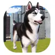 Icon of program: Pet Dog Simulator: Puppy …