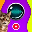 Icon of program: Cat Translator Recorder
