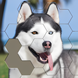 Icon of program: Jigsaw Hexa Block