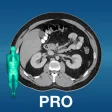 Icon of program: X-Anatomy Pro