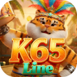Icon of program: K65Line