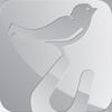Corghi icon
