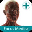 Icon of program: Anatomy Atlas: 3D Anatomi…