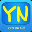 Icon of program: E101 Yes Or No Flash Card…