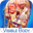 Icon of program: Human Anatomy Atlas SP