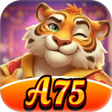 Icon of program: A75Touch