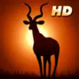 Icon of program: Deer Hunter: African Safa…