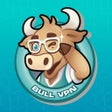 Icon of program: BullVPN - VPN Proxy