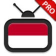 Icon of program: TV Indonesia HD Pro - men…