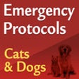 Icon of program: Emergency Protocols: Cats…