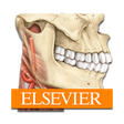 Icono de programa: Sobotta Anatomy Atlas
