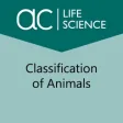 Icon of program: Classification of Animals