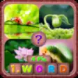 Icon of program: 4 Pics 1 Word-Guess the w…