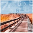 Icon of program: Life Path Period Number
