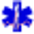 Icono de programa: 999 Medical Anatomy Terms…