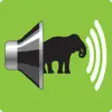 Icon of program: AudioZoo: Animal Sounds