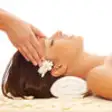 Icon of program: Massage Techniques.