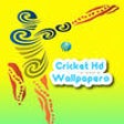 Icon of program: Cricket Wallpapers HD
