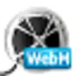 Icon of program: Bigasoft WebM Converter