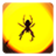 Icon of program: Spider Live Wallpaper
