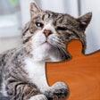Icon of program: Cat Puzzles