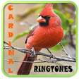 Icono de programa: Cardinal Ringtones