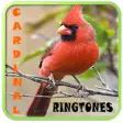 Icon of program: Cardinal Ringtones