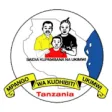 Icon of program: Tanzania HIV Guideline (E…