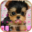 Icono de programa: Cute Tongue Cup Puppy Key…