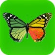 Icon of program: Photo Effects Studio