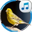 Icon of program: Canary Sounds