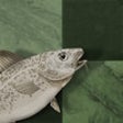 Icon of program: Stockfish Chess