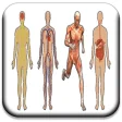 Icon of program: All Body Systems