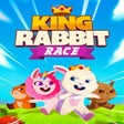Icon of program: King Rabbit: Race