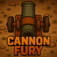 Icon of program: CANNON FURY
