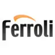 Icon of program: Ferroli Domestic RHI Calc…