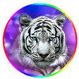 Icono de programa: White Tiger Purple Theme