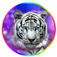 Icon of program: White Tiger Purple Theme