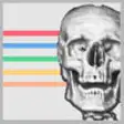 Icon of program: Anatomikort