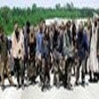 Icon of program: The Walking Dead Screensa…