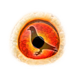 Icon of program: Pigeon Pedigree