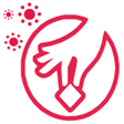 Icon of program: PiKKado