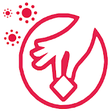 Icono de programa: PiKKado