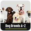 Icon of program: Dog Breeds A-Z