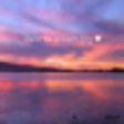 Icono de programa: Quote Wallpaper Of The Da…