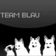 Icon of program: Team Blau