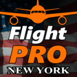 Icon of program: Pro Flight Simulator NY 4…