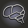 Brain Lab icon