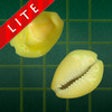Icon of program: AshtaChemma Lite