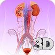 Icon of program: Urinary System Pro.